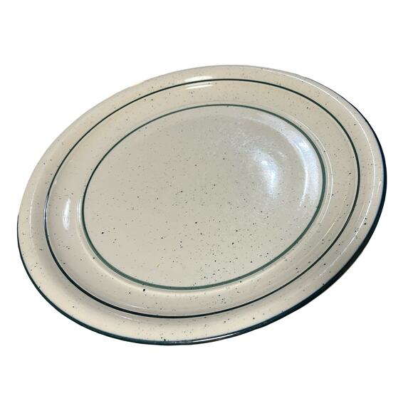 Tienshen Country Crock 11" Dinner Plate Green Crock Flecks Vintage Discontinued - Picture 4 of 7